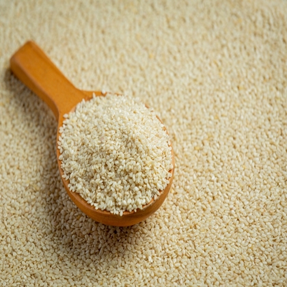 Global Export Market